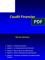 Audit Financier