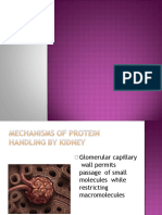 Evaluationofproteinuriainchildren Final