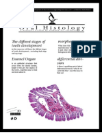 Oral Histology Lecture 6