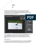 Photoshop Basics