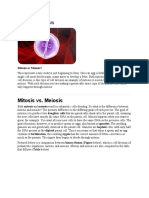 Mitosis Vs Meiosis Reading