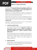 Formato 12 - Especificaciones Tecnicas