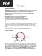 Sense Organs: Structure of Human Eye