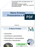 Aula 5 - Slides - Protozoários e Algas