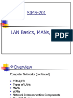 Sims-201: Lan Basics, Mans, Wans