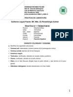 GUÍA PARASITO Ricardo Palma.2020-I y II. Final. PDF