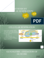 Atp Synthesis by Cellular Respiration AT P: Caroline Sueper