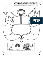 Simbolos Patrios