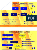 Fisiologia Da Crianca