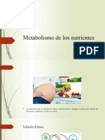 Metabolismo de Los Nutrientes