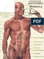 M. Prives, N. Lisenkov, V. Bushkovich - Anatomía Humana, I