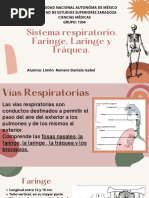 Sistema Respiratorio-Faringe 