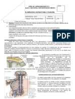 GUÍA de APRENDIZAJE SISTEMA NERVIOSO