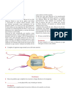 El Mapa Mental para Cuarto Grado de Primaria