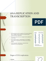 Dna Replication and Transcription