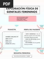 EXPLORACIÓN FÍSICA DE GENITALES FEMENINOS G5 SG2 - Desarrollado