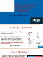 s6 - Glucosa y Sus Alteraciones Metabolicas