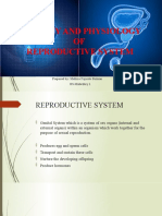 Anatomy and Physiology Reproductive System