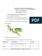 Ficha 9 Classe Covid-19 SOS Biologia