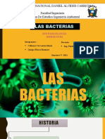 Las Bacterias