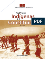 Povos Indígenas Na Constituinte de 1988