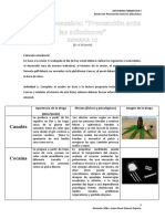 ACTIVIDAD PRACTICA 10 Consumo de Drogas