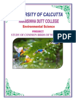 University of Calcutta: Narasinha Dutt College