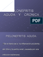 Pielonefritis Aguda y Cronica - 1