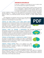 Síndrome de Lesión Medular, Alteracion de La Fertilidad y Ayudas Ortopedicas