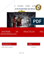 Informe de Practicas Pre Profesionales