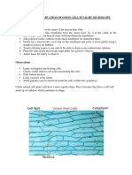 Observation of Onion Cell-1