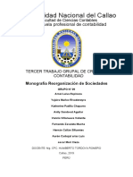 Monografía Reorganización de Sociedades