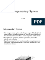 The Integumentary System