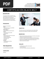 5 Lean Six Sigma Black Belt V20 - Compressed