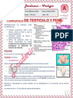 Urologia - Teo4. Tu de Testiculo y Pene.02!04!19