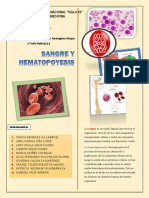 Histologia Sangre y Hematopoyesis