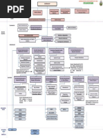 Organigrama - Con Ajustes 1