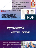 Tema 14 - Protección Dentino Pulpar (Operatoria)