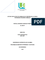 42 - (535-15) Estudio Oncológico en Animales de Compañia en La Clinica Veterinaria Pequeños Animales