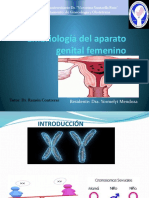 Embriología Del Aparato Genital Femenino