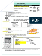 Examen Primer Parcial - Dermato