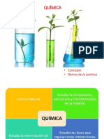 1S. 2 QUIMICA Ramas