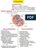 Citología