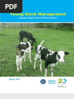 Young Stock Management Training Manual and Guideline