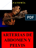 Arterias Abdomen y Pelvis