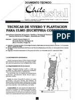 Tecnicas de Vivero Y Plantacion para Ulmo (Eucryphia Cordifolia)