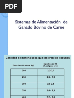 11° Clase 20211