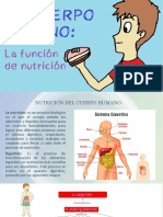 Tema 2 La Nutrición y Su Relación Con Los Sistemas