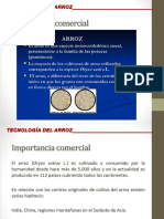 2.5 Tecnología Del Arroz