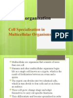 Cell Organisation: Cell Specialisation in Multicellular Organisms